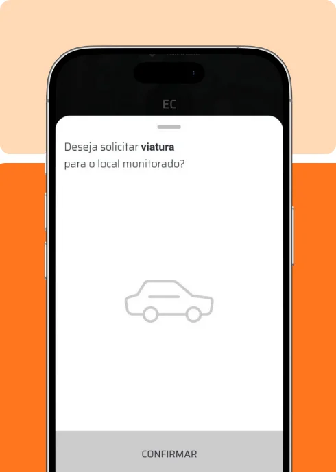 segurança eletrônica